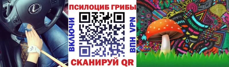 Купить  Тюкалинск  Галлюциногенные грибы Magic Shrooms 